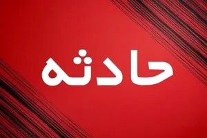 حادثه سقوط نخل در سیستان و بلوچستان با ۲ فوتی